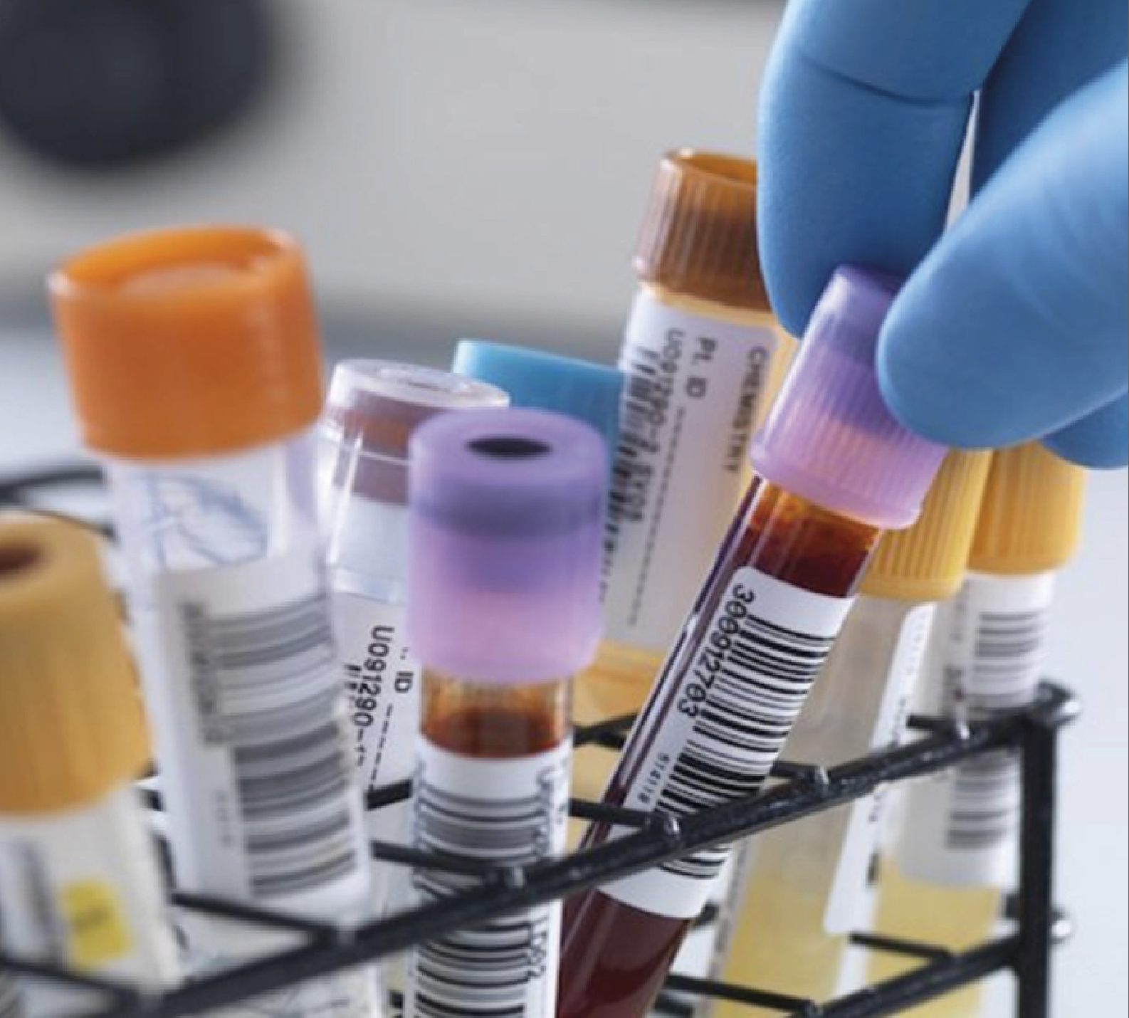 Captura de ecrã 2024-12-02, às 17.06.26