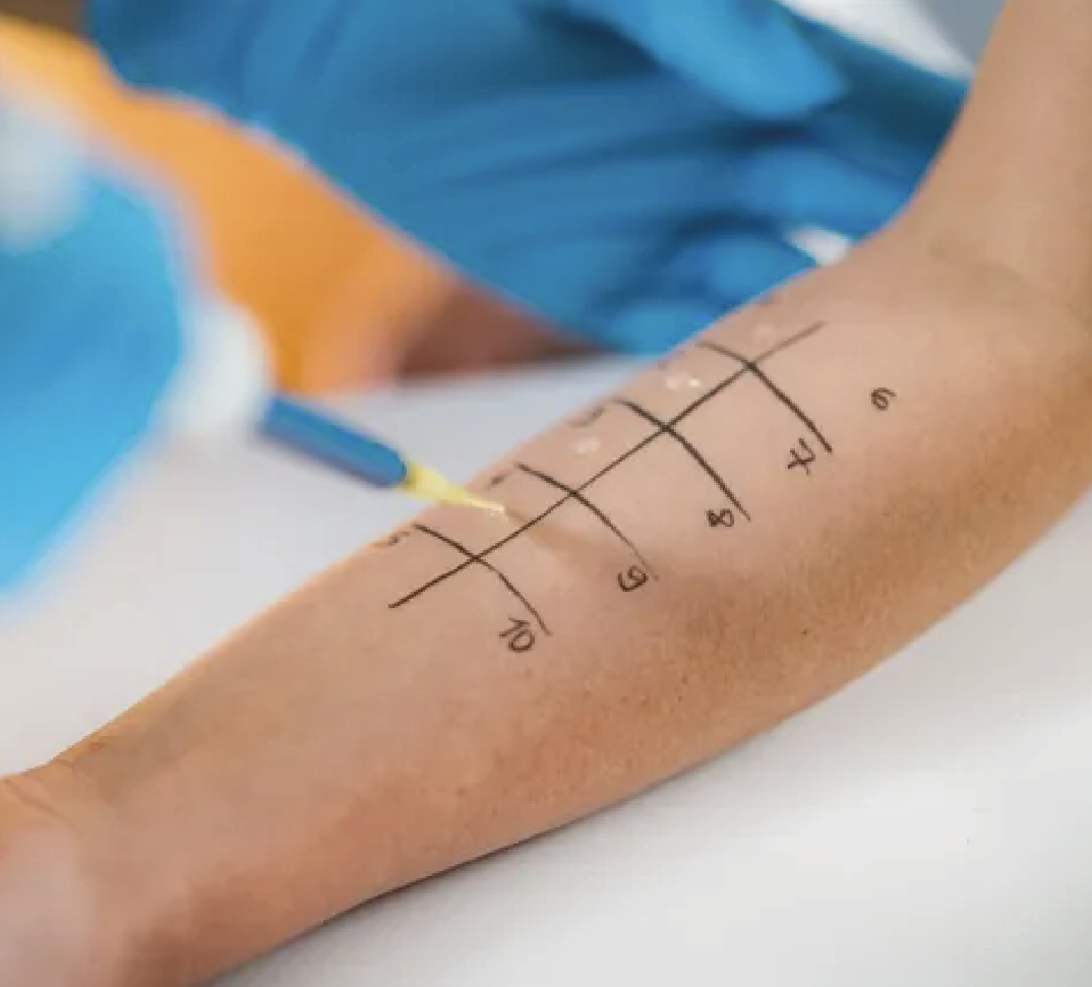 Captura de ecrã 2024-12-02, às 17.07.02